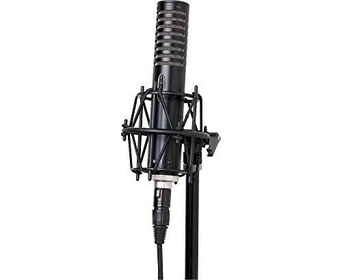Algopix Similar Product 8 - Royer Labs R101 LargeElement Ribbon