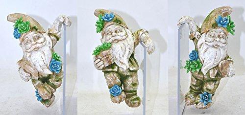 Algopix Similar Product 6 - Gnome Hanger - Set of 3