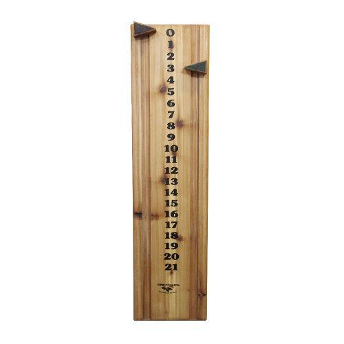 Algopix Similar Product 3 - Gronomics Bean Bag Toss Game Score Board