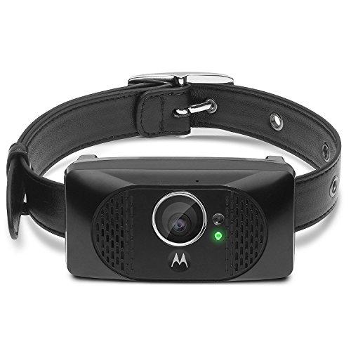 Algopix Similar Product 16 - Motorola SCOUT5000 Wearable HD Pet