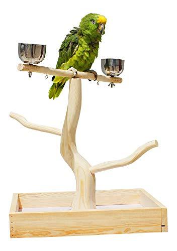 Algopix Similar Product 9 - Birds LOVE Tabletop TStand Deluxe Play