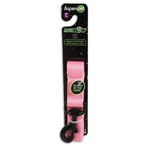 Algopix Similar Product 9 - Petmate Glowin Dark Leash 1 x 4