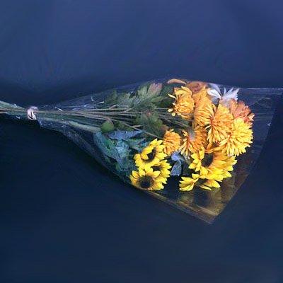 Algopix Similar Product 12 - Clear Cut Flower Bouquet Sleeves  16