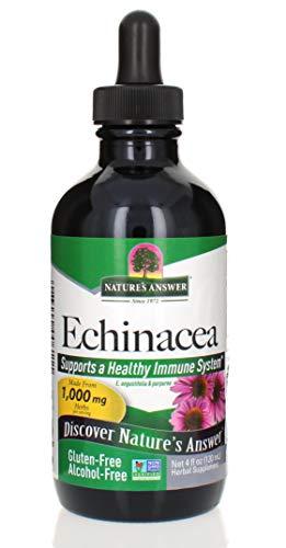 Algopix Similar Product 4 - Natures Answer AlcoholFree Echinacea