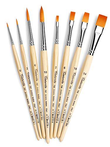 Algopix Similar Product 3 - Tintoretto AMZ11 Hobby  School Kit