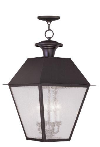 Algopix Similar Product 11 - Livex Lighting 217407 Mansfield