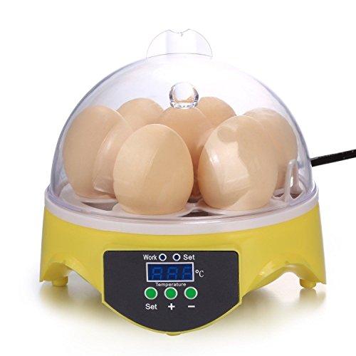 Algopix Similar Product 5 - Automatic Clear Digital Chicken Duck