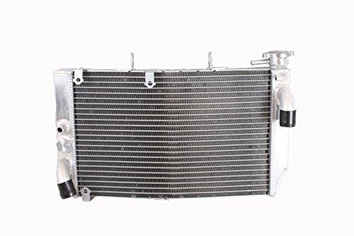 Algopix Similar Product 19 - OPL HPRM003 Aluminum Radiator For Honda