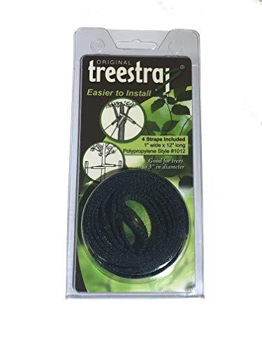 Algopix Similar Product 9 - Original Treestrap