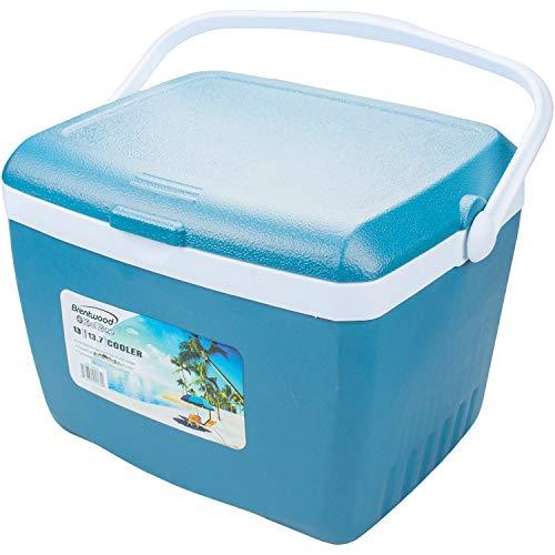Algopix Similar Product 18 - Brentwood Kool Zone CB1300LS 1375