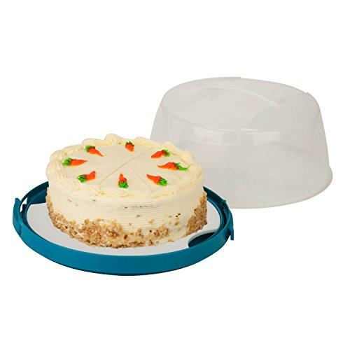 Algopix Similar Product 4 - HoneyCanDo KCH03839 Rectangular Cake