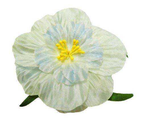 Algopix Similar Product 13 - Cuteque International 6Pack Light Blue