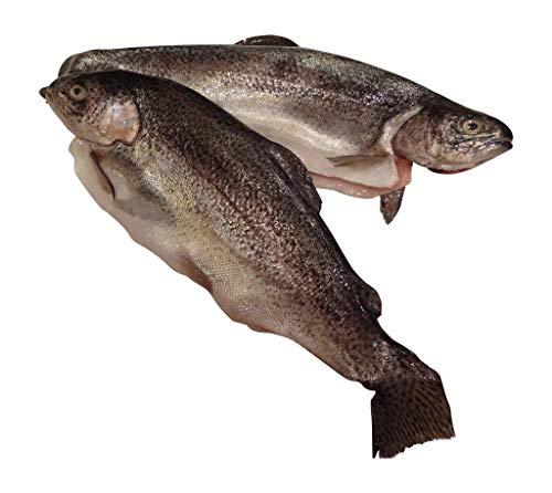 Algopix Similar Product 3 - Trout Whole Rainbow Farm Raised