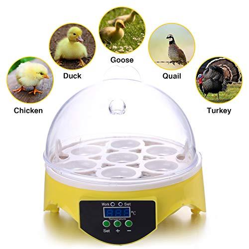Algopix Similar Product 5 - Currens Egg Incubator New Digital Mini