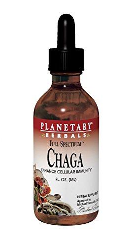 Algopix Similar Product 8 - Full Spectrum Chaga Liquid Extract 2