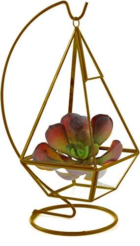 Algopix Similar Product 12 - Circleware 32506 Terraria Terrarium