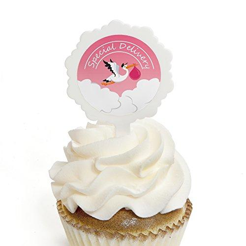 Algopix Similar Product 12 - Girl Special Delivery  Cupcake Picks
