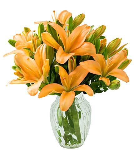 Algopix Similar Product 18 - California Grown Collection Bouquet of