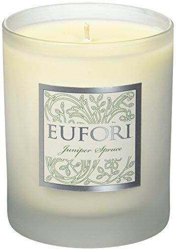 Algopix Similar Product 18 - rareEarth Eufori Juniper Spruce Candle