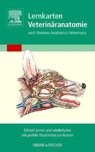 Algopix Similar Product 3 - Lernkarten VeterinaranatomieVeterinary