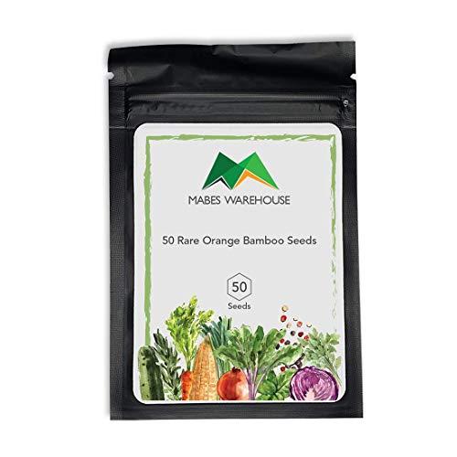 Algopix Similar Product 6 - MABES WAREHOUSE 50 Rare Orange Bamboo