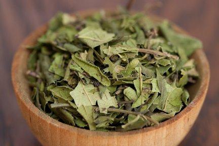 Algopix Similar Product 9 - Gesho Kitel -Ethiopian Aroma Hops Leaves