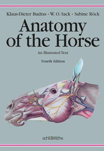 Algopix Similar Product 2 - Anatomy of the Horse An Illustrated