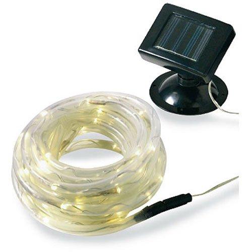 Algopix Similar Product 17 - Promier Products IC6100ROP12 100LED