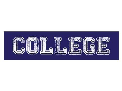 Algopix Similar Product 6 - COLLEGE (Bumper Sticker)