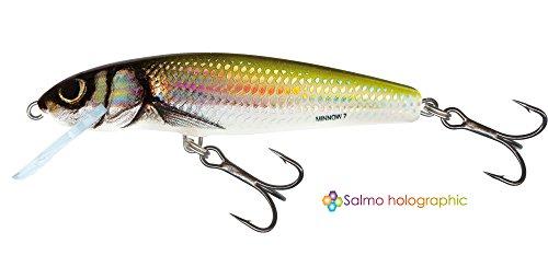 Algopix Similar Product 14 - Salmo Minnow Lure Crankbait HBL Holo