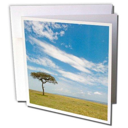 Algopix Similar Product 9 - 
