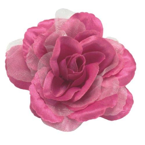 Algopix Similar Product 7 - Cuteque International CQA106SHOCKING