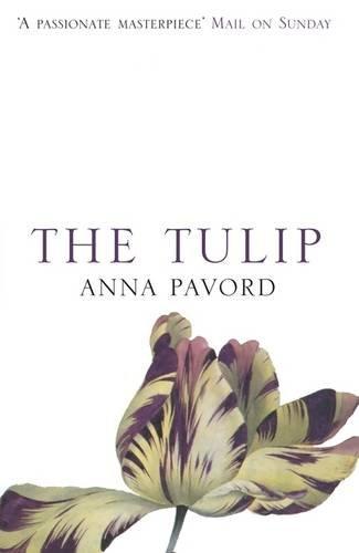 Algopix Similar Product 19 - The Tulip