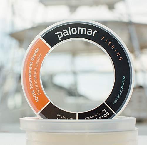 Algopix Similar Product 6 - 100 FLUOROCARBON LEADER 160lb 