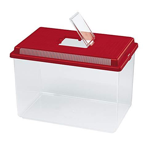 Algopix Similar Product 1 - Geo Plastic Tank Flat Small Mixed