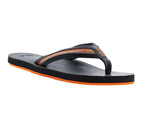 Algopix Similar Product 3 - 