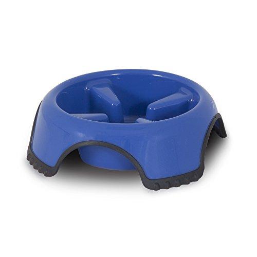 Algopix Similar Product 17 - JW Aspen Pet Skid Stop Slow Feed Bowl