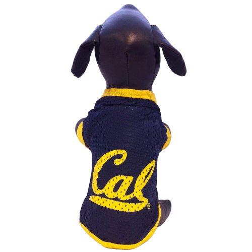 Algopix Similar Product 6 - NCAA California Golden Bears Athletic