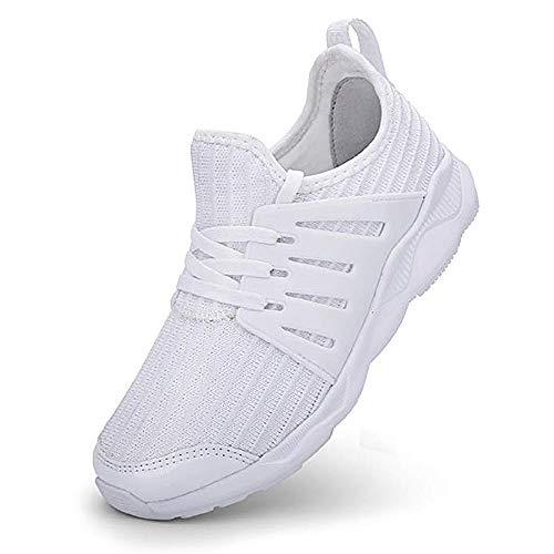 Algopix Similar Product 1 - 