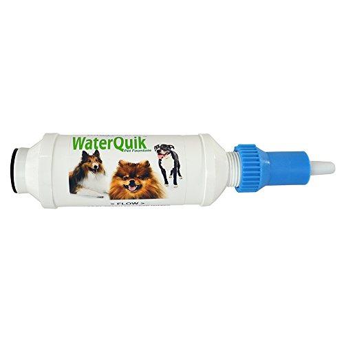 Algopix Similar Product 6 - WaterSentinel WSP1 Pet Fountain Water