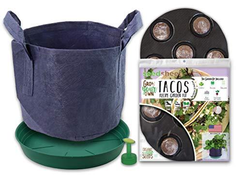 Algopix Similar Product 10 - Seedsheet Grow Your Own Tacos Container