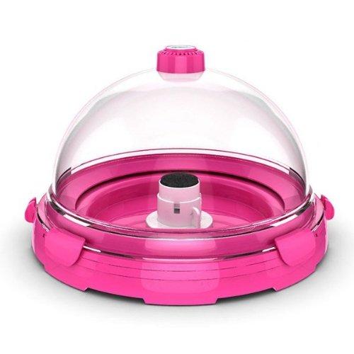 Algopix Similar Product 16 - Desktop Aquarium Kit Color: Pink