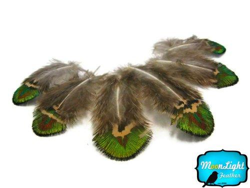 Algopix Similar Product 6 - Moonlight Feather  20 Pieces  Green