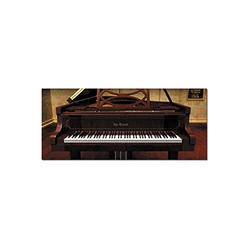 Algopix Similar Product 4 - Steinberg The Grand 3 Virtual