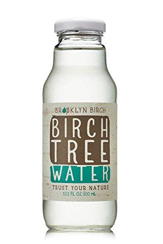 Algopix Similar Product 20 - Brooklyn Birch Company Birch Water 12