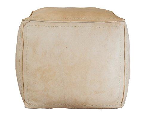 Algopix Similar Product 17 - 