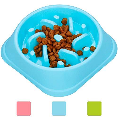 Algopix Similar Product 11 - wangstar Pet Slow Feeder Bowl Bloat