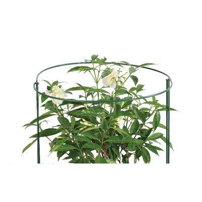 Algopix Similar Product 16 - Novelty Plant Support Set of 2 Size
