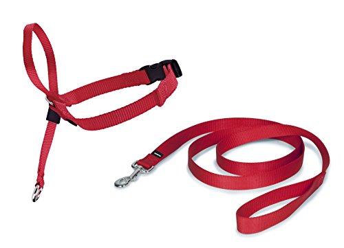 Algopix Similar Product 18 - PetSafe Easy Walk Headcollar Red