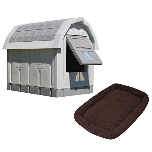 Algopix Similar Product 11 - 